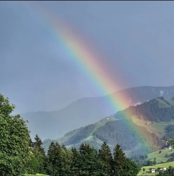 ich habe einen Kredit über 20.000 Euro