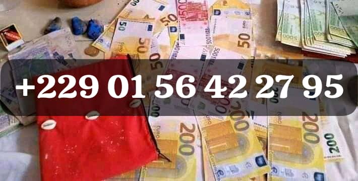 Multiplication d'argent +229 01 56 42 27 95
