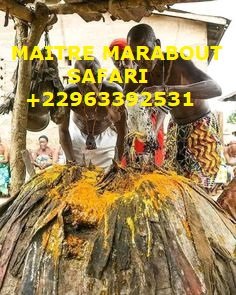 GRAND MAÎTRE MARABOUT VOYANT SPIRITUEL MEDIUM SAFARI TIDIANE 002290163392531